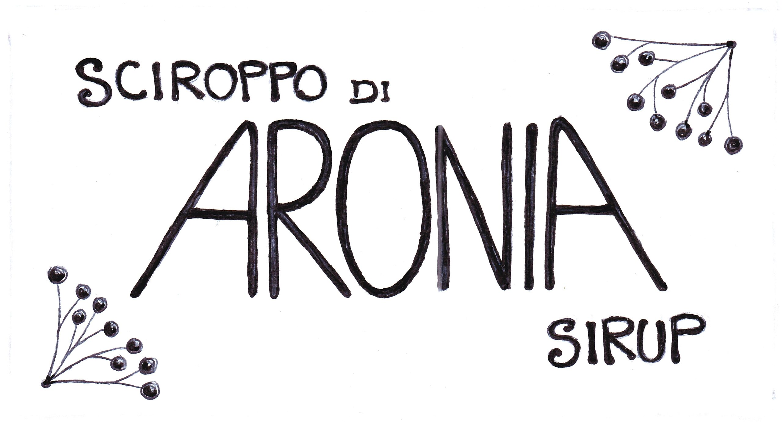 aronia sirup 500ml Aronia-Sirup.jpg