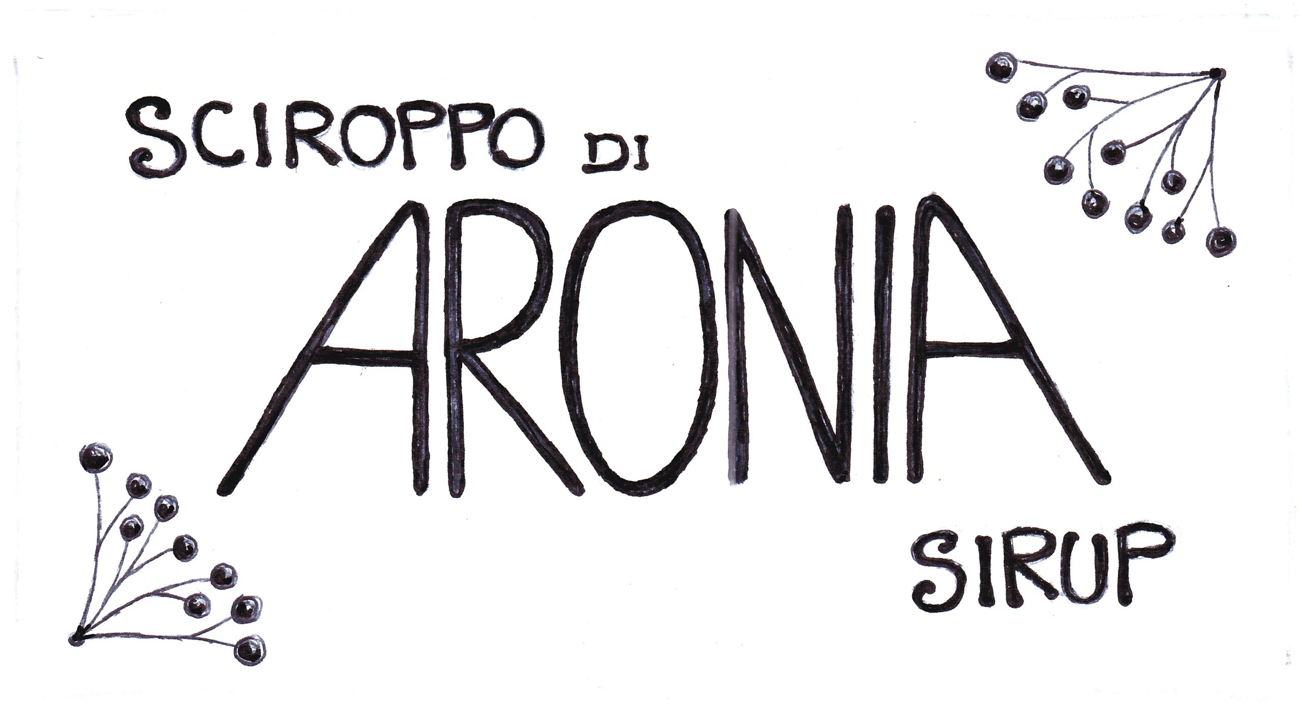 aronia sirup 500ml Aronia-Sirup.jpg